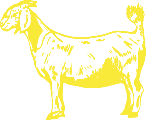 Yellow illustration of the ONGUZA signature Fabulous Goat emblem. 