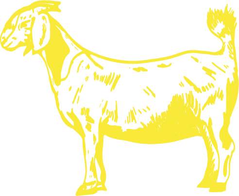 Onguza Bicycles logo